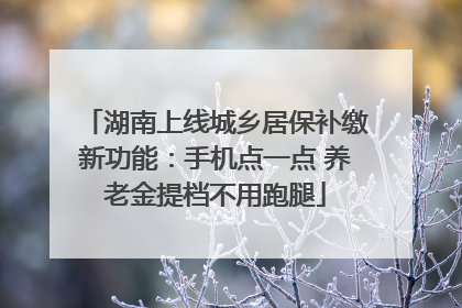湖南上线城乡居保补缴新功能：手机点一点 养老金提档不用跑腿