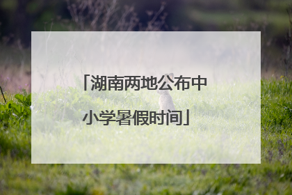 湖南两地公布中小学暑假时间