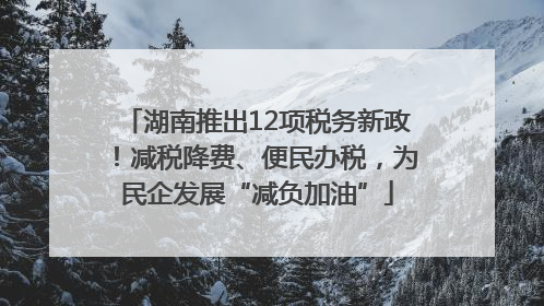 湖南推出12项税务新政！减税降费、便民办税，为民企发展“减负加油”