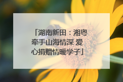 湖南新田：湘粤牵手山海情深 爱心捐赠情暖学子