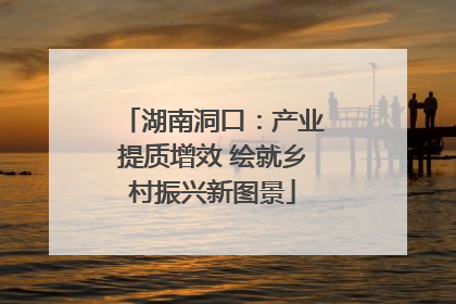 湖南洞口：产业提质增效 绘就乡村振兴新图景