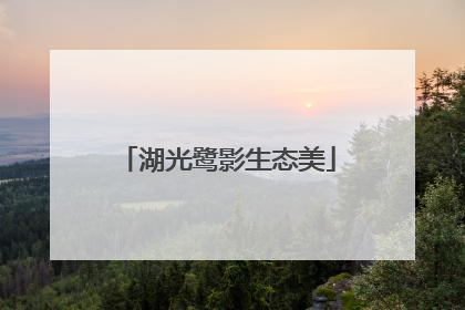 湖光鹭影生态美