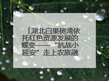 湖北白果树湾依托红色资源发展的蝶变——“抗战小延安”走上农旅融合振兴路