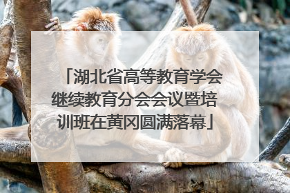 湖北省高等教育学会继续教育分会会议暨培训班在黄冈圆满落幕