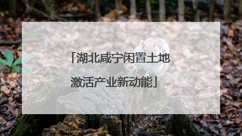 湖北咸宁闲置土地激活产业新动能