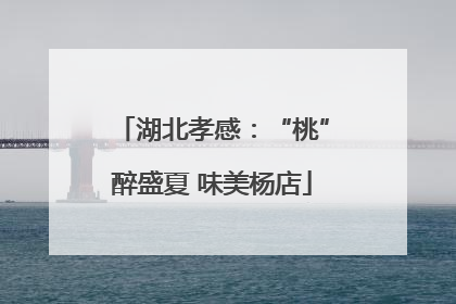 湖北孝感：“桃”醉盛夏 味美杨店