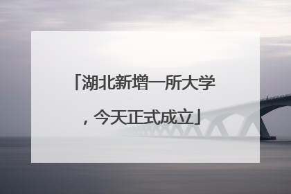 湖北新增一所大学，今天正式成立