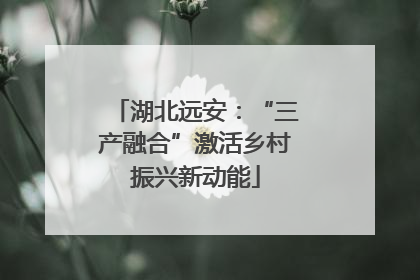湖北远安：“三产融合”激活乡村振兴新动能
