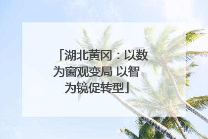 湖北黄冈：以数为窗观变局 以智为镜促转型