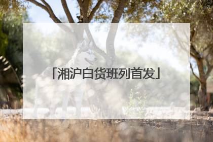湘沪白货班列首发