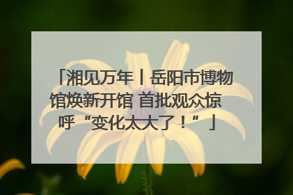 湘见万年丨岳阳市博物馆焕新开馆 首批观众惊呼“变化太大了！”