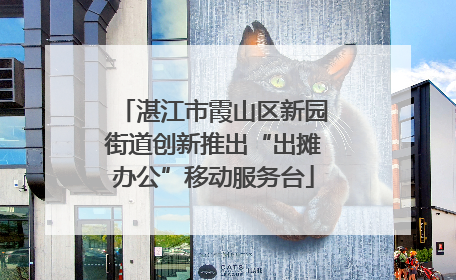 湛江市霞山区新园街道创新推出“出摊办公”移动服务台