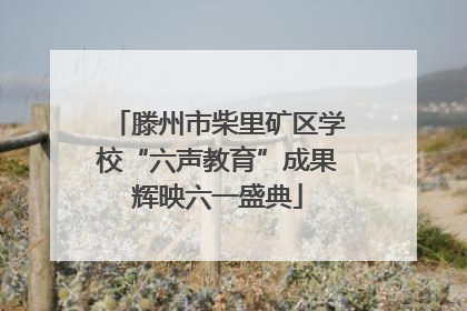 滕州市柴里矿区学校“六声教育”成果辉映六一盛典