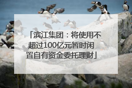 滨江集团：将使用不超过100亿元暂时闲置自有资金委托理财