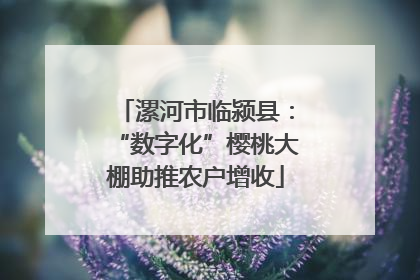 漯河市临颍县：“数字化”樱桃大棚助推农户增收