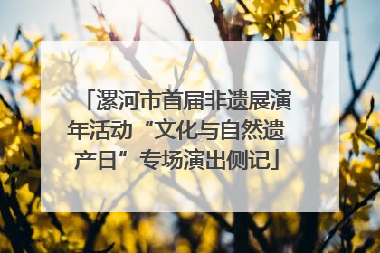 漯河市首届非遗展演年活动“文化与自然遗产日”专场演出侧记