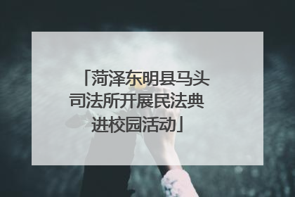 菏泽东明县马头司法所开展民法典进校园活动