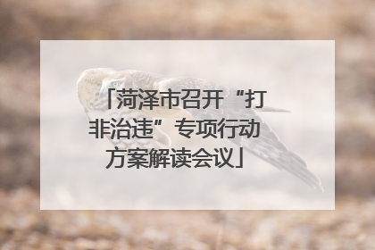 菏泽市召开“打非治违”专项行动方案解读会议