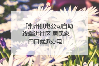 荆州供电公司自助终端进社区 居民家门口就近办电