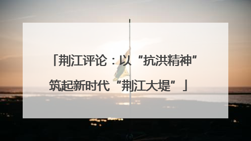 荆江评论：以“抗洪精神”筑起新时代“荆江大堤”
