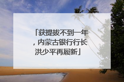 获提拔不到一年，内蒙古银行行长洪少平再履新