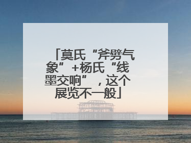 莫氏“斧劈气象”+杨氏“线墨交响”，这个展览不一般