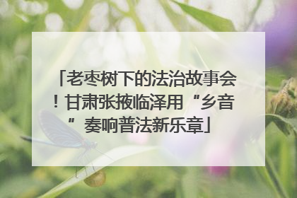 老枣树下的法治故事会！甘肃张掖临泽用“乡音”奏响普法新乐章
