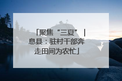 聚焦“三夏”｜息县：驻村干部奔走田间为农忙