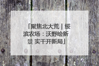 聚焦北大荒｜绥滨农场：沃野绘新景 实干开新局