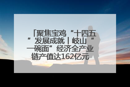 聚焦宝鸡“十四五”发展成就丨岐山“一碗面”经济全产业链产值达162亿元 入选全国典型县