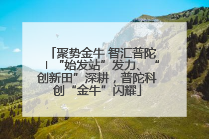 聚势金牛 智汇普陀〡“始发站”发力、“创新田”深耕，普陀科创“金牛”闪耀