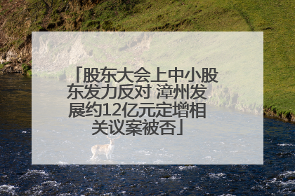 股东大会上中小股东发力反对 漳州发展约12亿元定增相关议案被否