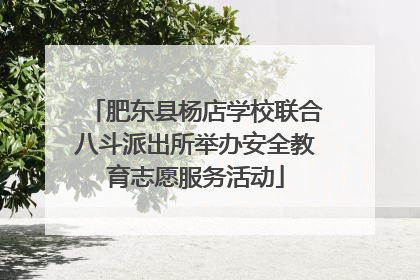 肥东县杨店学校联合八斗派出所举办安全教育志愿服务活动