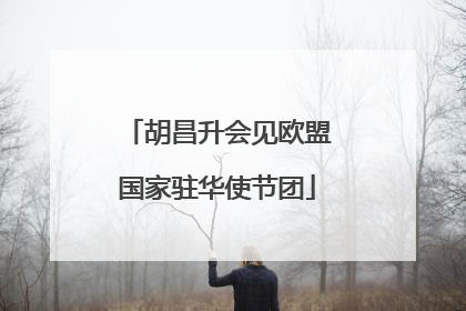 胡昌升会见欧盟国家驻华使节团