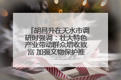 胡昌升在天水市调研时强调：壮大特色产业带动群众增收致富 加强文物保护推动文化创新发展