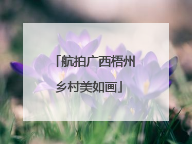 航拍广西梧州乡村美如画