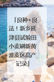 良种+良法！新乡延津县试验田小麦刷新黄淮麦区高产记录