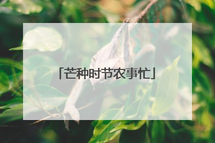 芒种时节农事忙