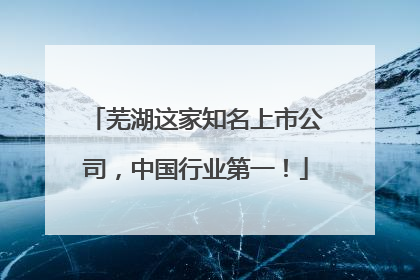 芜湖这家知名上市公司，中国行业第一！