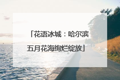花语冰城：哈尔滨五月花海绚烂绽放