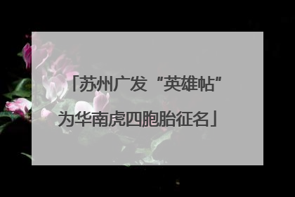 苏州广发“英雄帖”为华南虎四胞胎征名