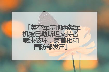 英空军基地两架军机被巴勒斯坦支持者喷漆破坏，英首相和国防部发声