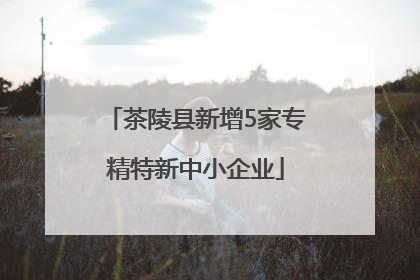 茶陵县新增5家专精特新中小企业