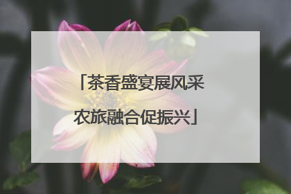 茶香盛宴展风采 农旅融合促振兴