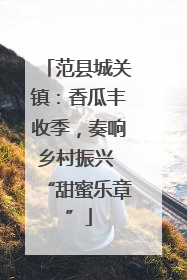 范县城关镇：香瓜丰收季，奏响乡村振兴 “甜蜜乐章”