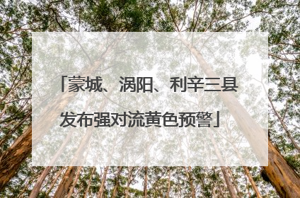 蒙城、涡阳、利辛三县发布强对流黄色预警