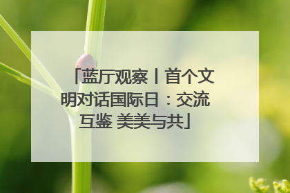 蓝厅观察丨首个文明对话国际日：交流互鉴 美美与共
