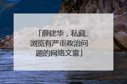 薛建华，私藏、浏览有严重政治问题的网络文章