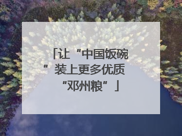 让“中国饭碗”装上更多优质“邓州粮”