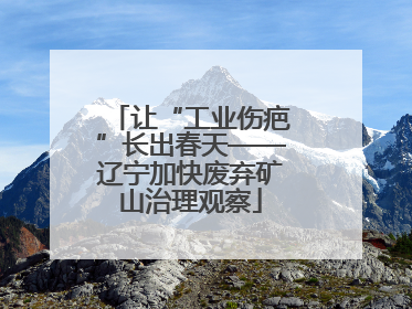 让“工业伤疤”长出春天——辽宁加快废弃矿山治理观察